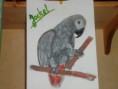 /album/anderes/jockel-i-jpg/